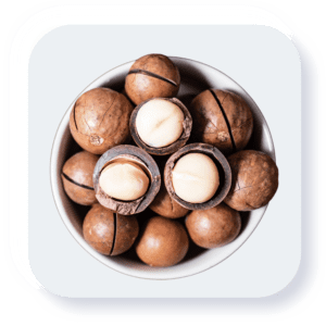 Macadamia nuts 250gm Pack Chabi Wala akhroot