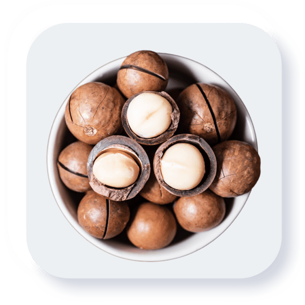 Macadamia nuts 250gm Pack Chabi Wala akhroot